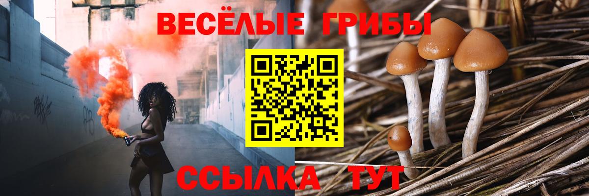 Вязники  Псилоцибиновые грибы Psilocybe  продажа наркотиков  Вход с VPN 